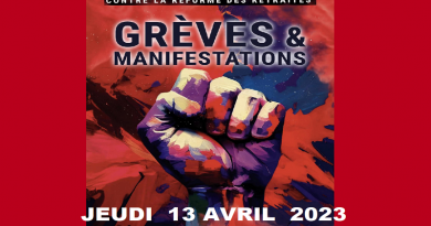 action du 13 avril 2023 UD CGT37