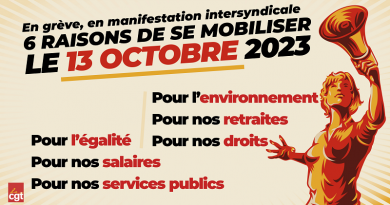 action du 13 octobre 203 UD CGT 37