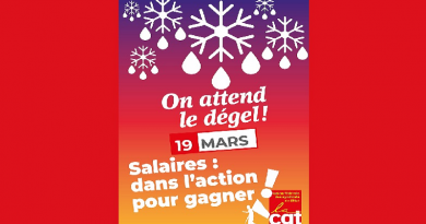 action 19 mars 2024 Fonction publique UD CGT 37